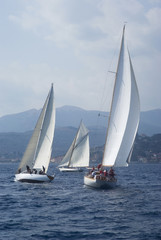 Fototapeta premium Classic yacht regatta