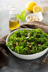 Fresh healthy salad with kale and cranberry