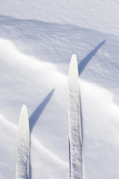 cross country ski tips in snow 