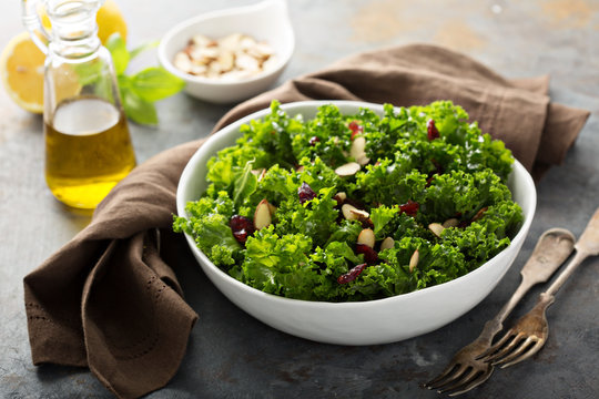 Fresh healthy salad with kale and cranberry