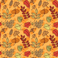 Fototapeta na wymiar Autumn leaves pattern