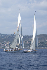 Classic yacht regatta