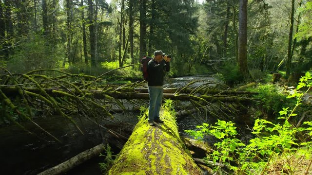 Backpaker taking photos in forest, Oregon