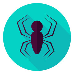 Spider Circle Icon