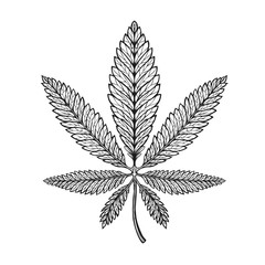 Marijuana ethnic graphic style. Cannabis, marihuana or hemp symbol