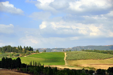 Fototapeta na wymiar Liebliche Landschaft mit Weinberg im malerischen Chianti 