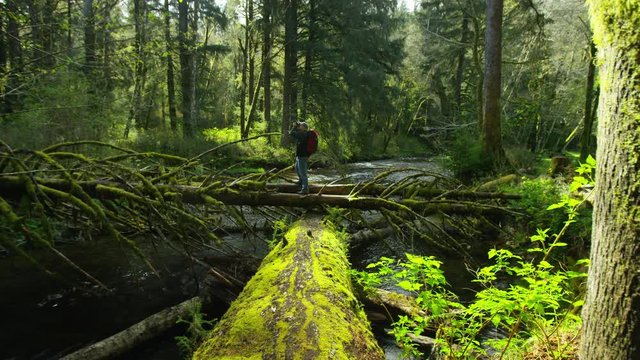 Backpaker taking photos in forest, Oregon