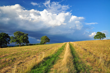 Path to nature field landscape cloud