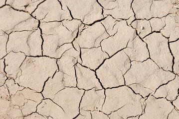 Surface of dry cracking parched earth