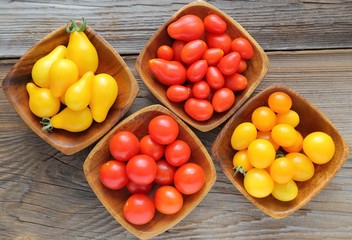 Tomatoes.