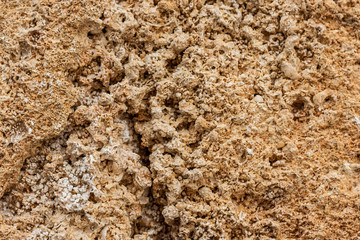 Background. The texture of limestone and lime close up. Formed by sedimentary rocks