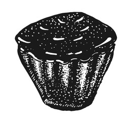 vector illustration of muffin on white background