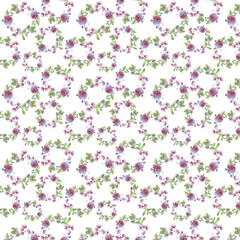 Wildflower flower chrysanthemum wreath pattern in a watercolor style. Full name of the herb: chrysanthemum, dahlia. Aquarelle flower could be used for background, texture, pattern, frame or border.