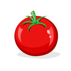 One red tomato isolated on white background. Fresh glossy vegetable. Vector cartoon illustration
