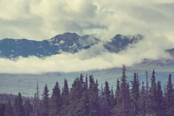 Store enrouleur tamisant sans perçage Forêt dans le brouillard Mountains in Alaska