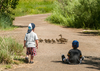 Two boys watch as a family of ducks cross the road in front of them