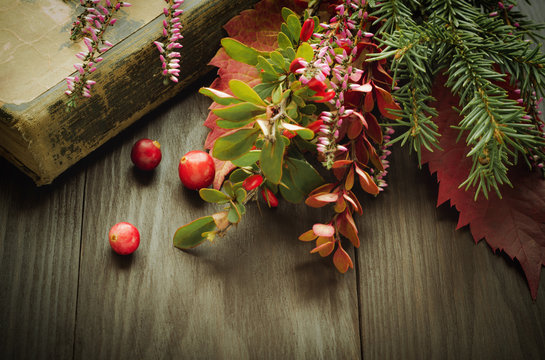 Vintage background with old book fir tree and forest flowers.