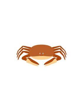 Funny crab character