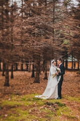 young family, the wedding, the newlyweds. Bride and groom walk around the trees in an autumn forest