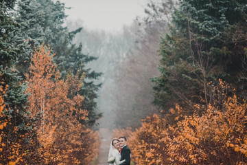 happy bride and groom walking in the autumn forest. Red leaves. 