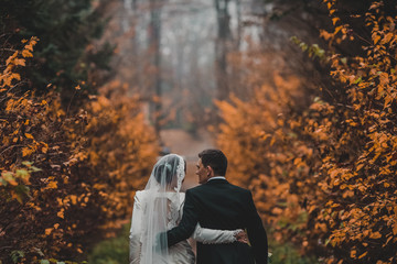 happy bride and groom walking in the autumn forest. Red leaves. 