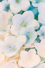 Colorful flowers paper background pattern lovely style.