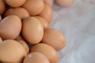 Group of eggs.