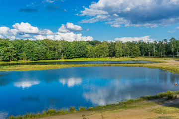 Fototapeta na wymiar beautiful multiple water ponds in a forest landscape