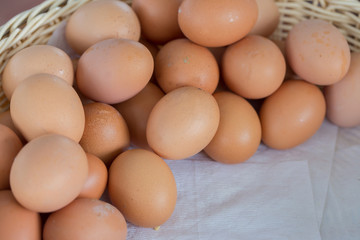 Group of eggs.