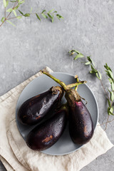 eggplant on a plate on a gray background