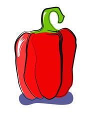 Vector paprika on white background. Sweet red pepper. Cooking vector element.