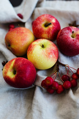 Red Apples on grey background