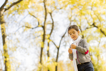 Little girl in the autumn park