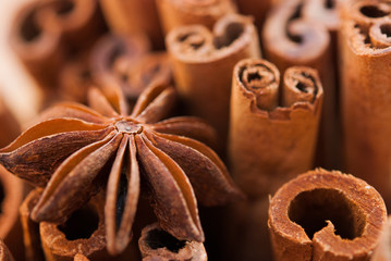 anise star and cinnamon sticks close up