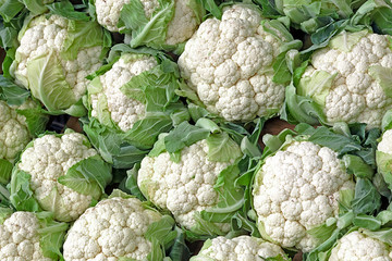 Background with stack of Cauliflower