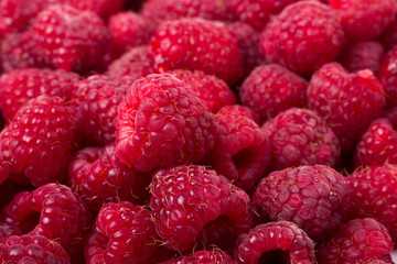 red raspberry as a background close up