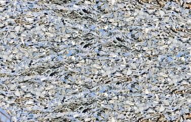 Metal Recycling Scarp