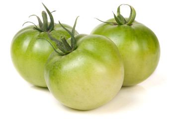 Three green unripe tomato isolated on white background