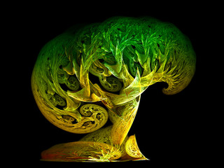 Bonsai