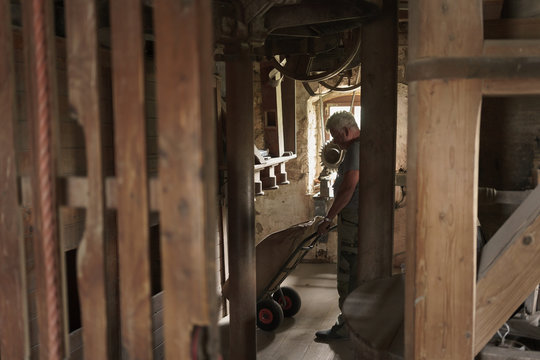 Miller inside windmill carrying bag with cereals on sack barrow