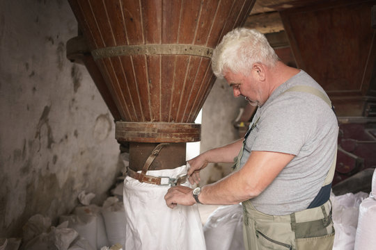Miller putting sack of cereals in windmill machinery to get flour