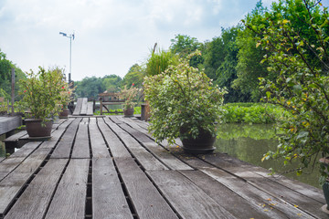 Wooden walk path with flower pot