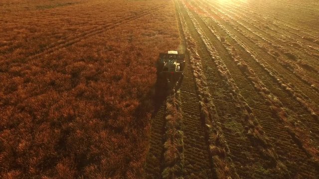 Aerial shot of combine in field at sunrise
