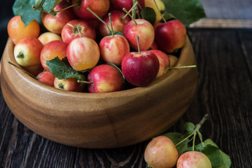Fresh harvest of apples