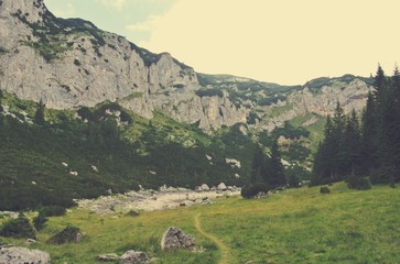 Green valley surrounded by rocky mountain peaks and a hiking path; landscape; nature with no people. Image filtered in faded, nostalgic, retro, Instagram style. Durmitor, Montenegro. - 120617035