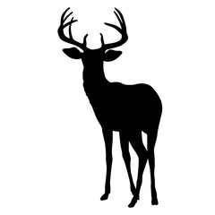 Naklejka premium deer vector illustration silhouette black front