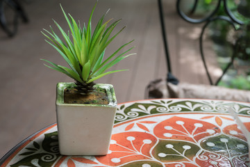 Small plant in white flower pot on colorful printing table