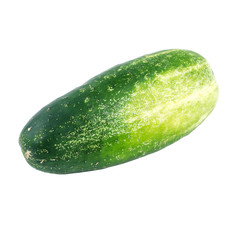 Fresh Green Cucumber Isolated On White Background.