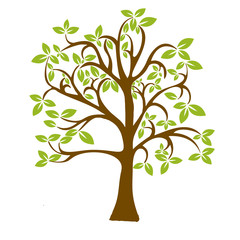 Green tree isolated on white background. Vector illustration.