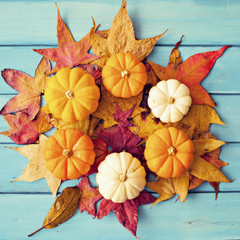 Pumpkins in a circle over autumn leafs